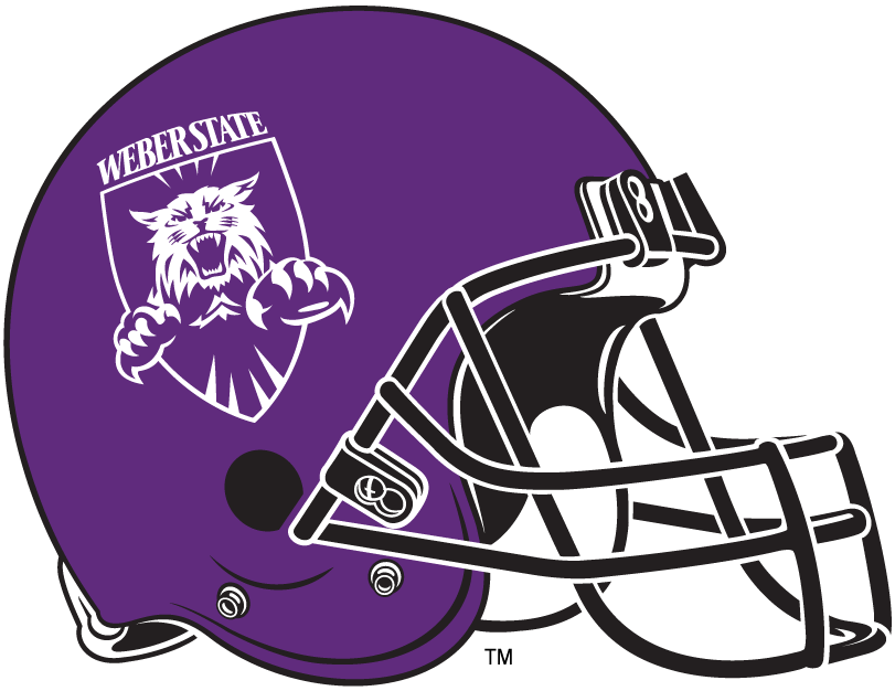 Weber State Wildcats 2006-2011 Helmet Logo diy fabric transfer